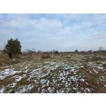 Zdjęcia użytkowników Samsung Galaxy S21 FE 5G Dual SIM Zdjęcia użytkowników Samsung Galaxy S21 FE 5G Dual SIM