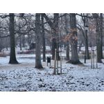 Zdjęcia użytkowników Samsung Galaxy S21 FE 5G Dual SIM Zdjęcia użytkowników Samsung Galaxy S21 FE 5G Dual SIM