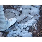 Zdjęcia użytkowników Samsung Galaxy S21 FE 5G Dual SIM Zdjęcia użytkowników Samsung Galaxy S21 FE 5G Dual SIM