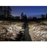 Zdjęcia użytkowników Samsung Galaxy S21 FE 5G Dual SIM Zdjęcia użytkowników Samsung Galaxy S21 FE 5G Dual SIM