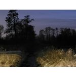 Zdjęcia użytkowników Samsung Galaxy S21 FE 5G Dual SIM Zdjęcia użytkowników Samsung Galaxy S21 FE 5G Dual SIM