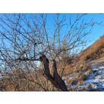 Zdjęcia użytkowników Samsung Galaxy S21 FE 5G Dual SIM Zdjęcia użytkowników Samsung Galaxy S21 FE 5G Dual SIM