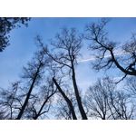 Zdjęcia użytkowników Samsung Galaxy S21 FE 5G Dual SIM Zdjęcia użytkowników Samsung Galaxy S21 FE 5G Dual SIM