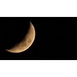 Zdjęcia użytkowników Samsung Galaxy S21 Ultra