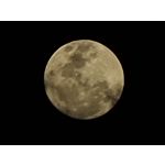 Zdjęcia użytkowników Samsung Galaxy S21 Ultra