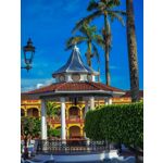 ZDJĘCIA Z TEGO TELEFONU