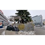 Zdjęcia użytkowników Samsung Galaxy S21 Ultra