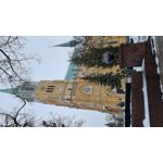 Zdjęcia użytkowników Samsung Galaxy S21 Ultra