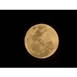 Zdjęcia użytkowników Samsung Galaxy S21 Ultra