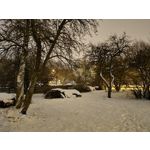 Zdjęcia użytkowników Samsung Galaxy S21