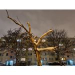 Zdjęcia użytkowników Samsung Galaxy S21