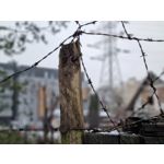 Zdjęcia użytkowników Samsung Galaxy S21