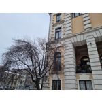 Zdjęcia użytkowników Samsung Galaxy S21