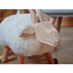 Zdjęcia użytkowników Samsung Galaxy S21+