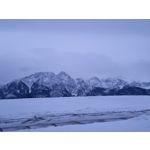 Zdjęcia użytkowników Samsung Galaxy S21+