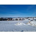 Zdjęcia użytkowników Samsung Galaxy S21+