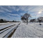 Zdjęcia użytkowników Samsung Galaxy S21+