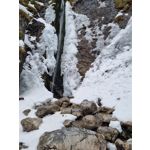 Zdjęcia użytkowników Samsung Galaxy S21+