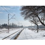 Zdjęcia użytkowników Samsung Galaxy S21+