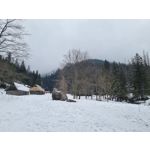 Zdjęcia użytkowników Samsung Galaxy S21+