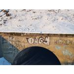 Zdjęcia użytkowników Samsung Galaxy S21+