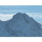 Zdjęcia użytkowników Samsung Galaxy S21+