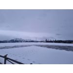 Zdjęcia użytkowników Samsung Galaxy S21+