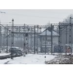 Zdjęcia użytkowników Samsung Galaxy S21+