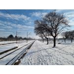 Zdjęcia użytkowników Samsung Galaxy S21+