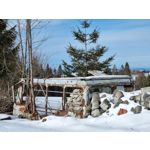 Zdjęcia użytkowników Samsung Galaxy S21+