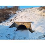 Zdjęcia użytkowników Samsung Galaxy S21+