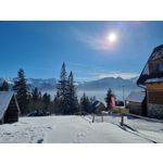 Zdjęcia użytkowników Samsung Galaxy S21+