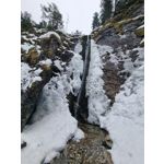 Zdjęcia użytkowników Samsung Galaxy S21+