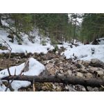 Zdjęcia użytkowników Samsung Galaxy S21+