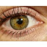 Zdjęcia użytkowników Samsung Galaxy S21+