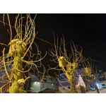 Zdjęcia użytkowników Samsung Galaxy S21+