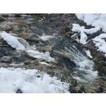 Zdjęcia użytkowników Samsung Galaxy S21+