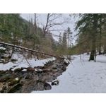 Zdjęcia użytkowników Samsung Galaxy S21+