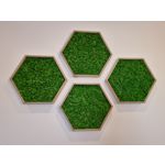 Zdjęcia użytkowników Samsung Galaxy S21+