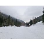 Zdjęcia użytkowników Samsung Galaxy S21+