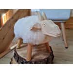 Zdjęcia użytkowników Samsung Galaxy S21+