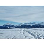 Zdjęcia użytkowników Samsung Galaxy S21+