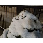 Zdjęcia użytkowników Samsung Galaxy S21+