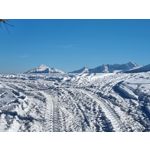 Zdjęcia użytkowników Samsung Galaxy S21+