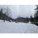 Zdjęcia użytkowników Samsung Galaxy S21+