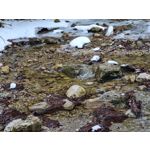 Zdjęcia użytkowników Samsung Galaxy S21+