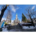 Zdjęcia użytkowników Samsung Galaxy S21+