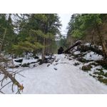 Zdjęcia użytkowników Samsung Galaxy S21+