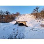 Zdjęcia użytkowników Samsung Galaxy S21+