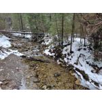 Zdjęcia użytkowników Samsung Galaxy S21+